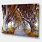 Designart - Majestic Tree Alley - Traditional Canvas Wall Art Print
